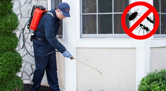 Ünye Fare İlaçlama böcek ilaçlama ve haşere kontrolü — ilaclama-tr.com